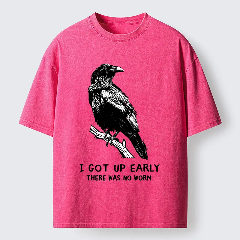 Tokyo-Tiger Early Raven Meme Washed T-Shirt