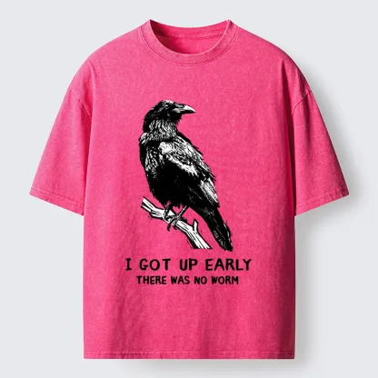 Tokyo-Tiger Early Raven Meme Washed T-Shirt