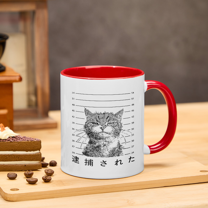 Tokyo-Tiger Cat That Was Arrested Mug