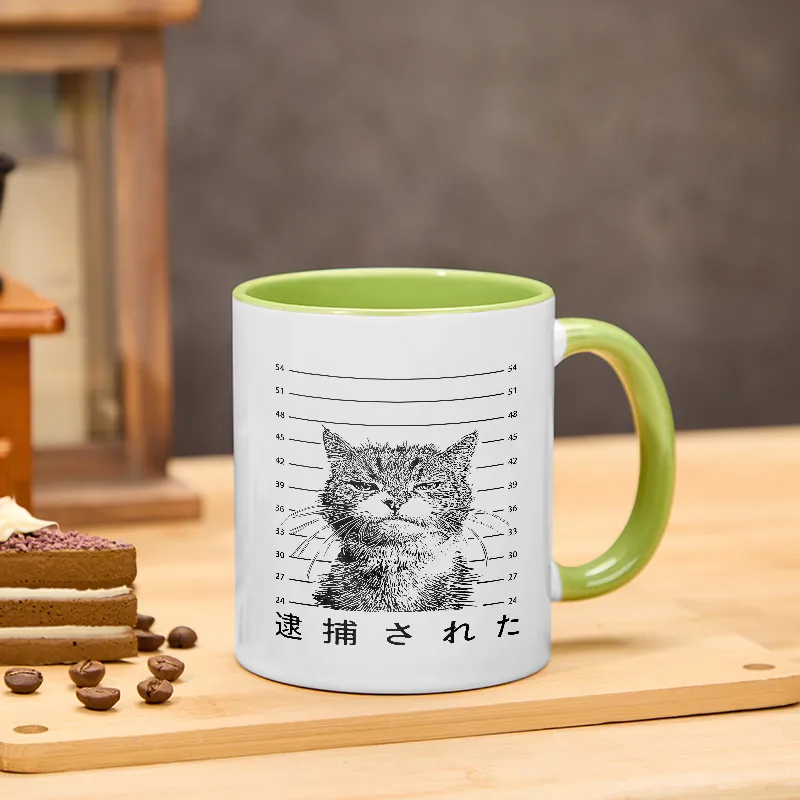Tokyo-Tiger Cat That Was Arrested Mug