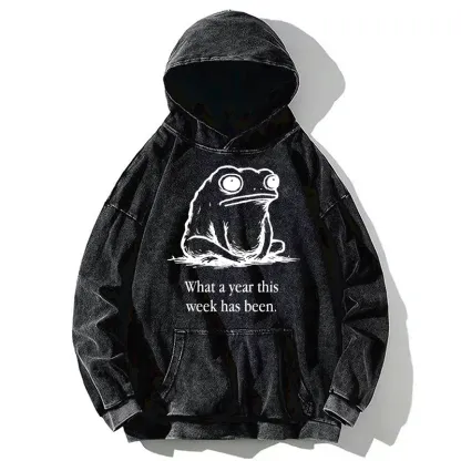 Tokyo-Tiger This Week Feels Like A Whole Year Washed Hoodie