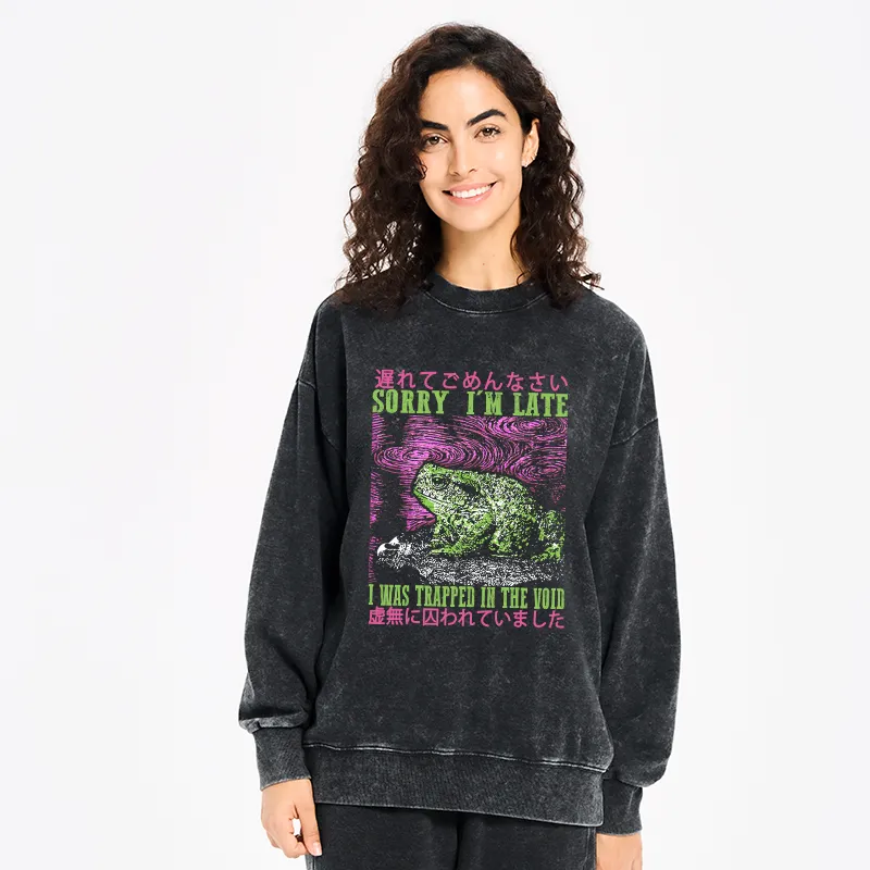 Tokyo-Tiger A Frog In Distress Japanese Washed Sweatshirt