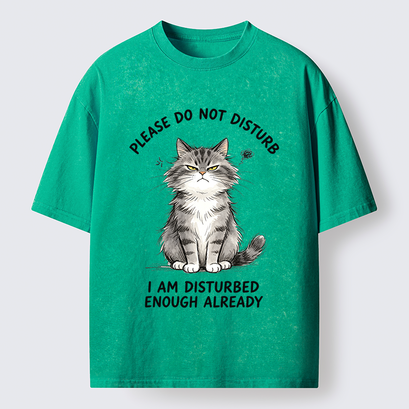 Tokyo-Tiger Funny Cute Little Cat Meme Washed T-Shirt