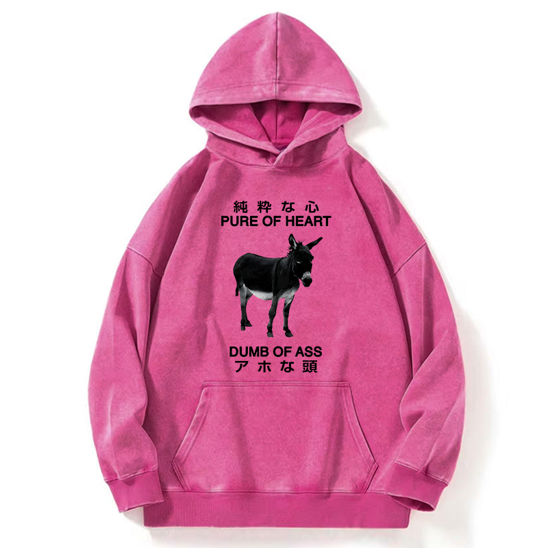 Tokyo-Tiger Pure Of Heart Dumb Of Ass Washed Hoodie