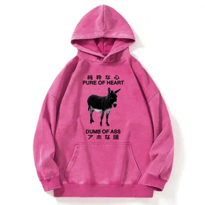 Tokyo-Tiger Pure Of Heart Dumb Of Ass Washed Hoodie