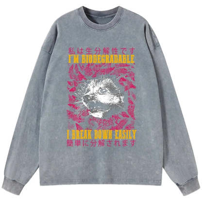 Tokyo-Tiger An Easily Breakable Opossum Washed Long Sleeve T-Shirt