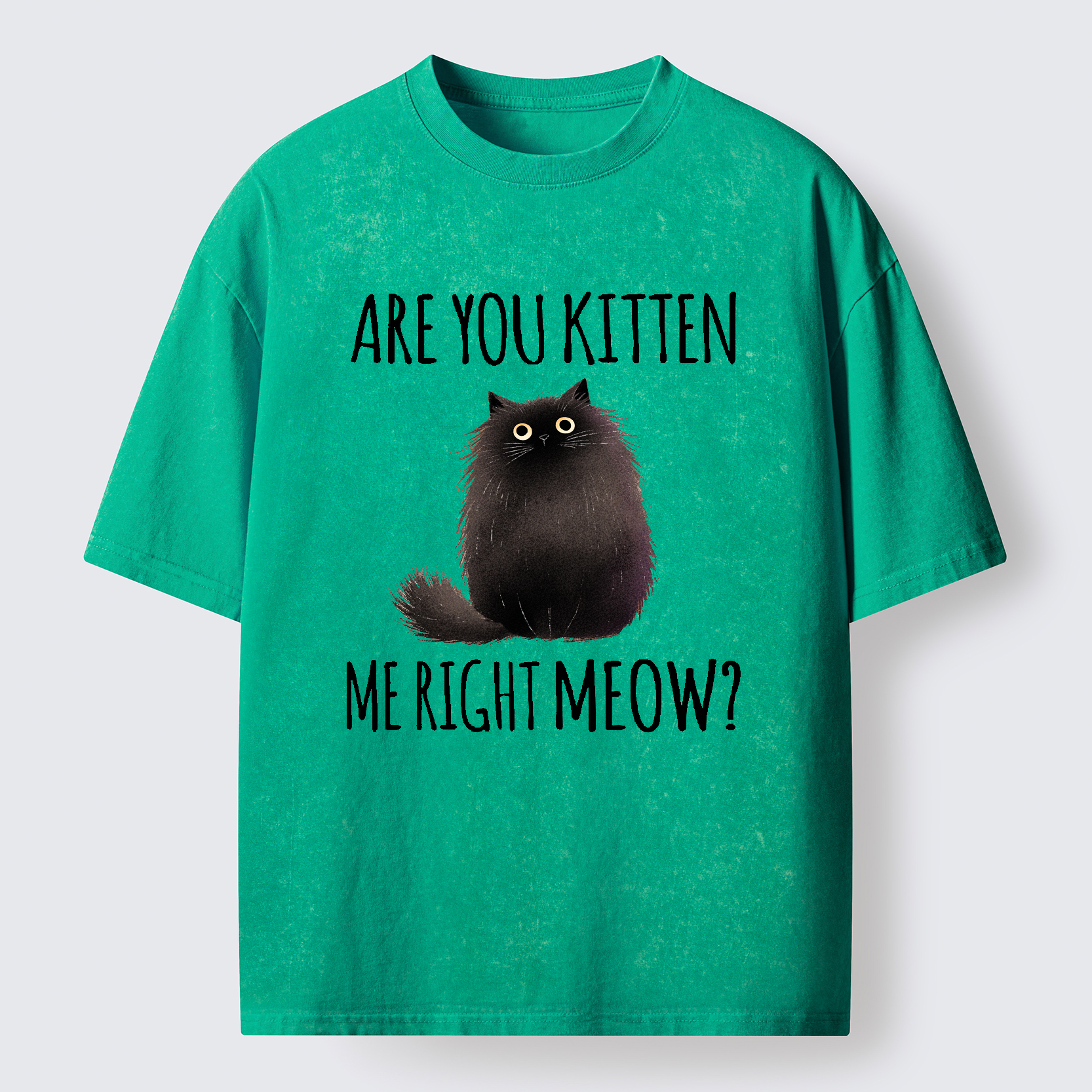 Tokyo-Tiger Kitten Me Right Meow Washed T-Shirt