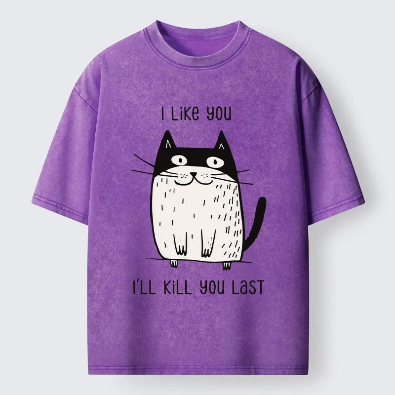 Tokyo-Tiger Cats Both Love And Hate Washed T-Shirt