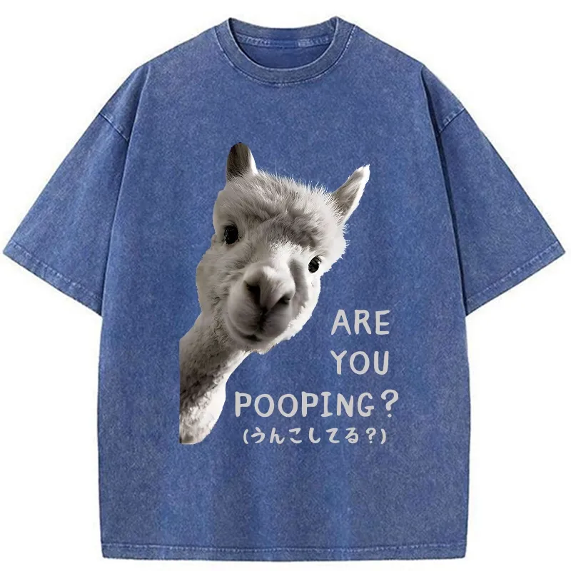 Tokyo-Tiger Are You Pooping Washed T-Shirt