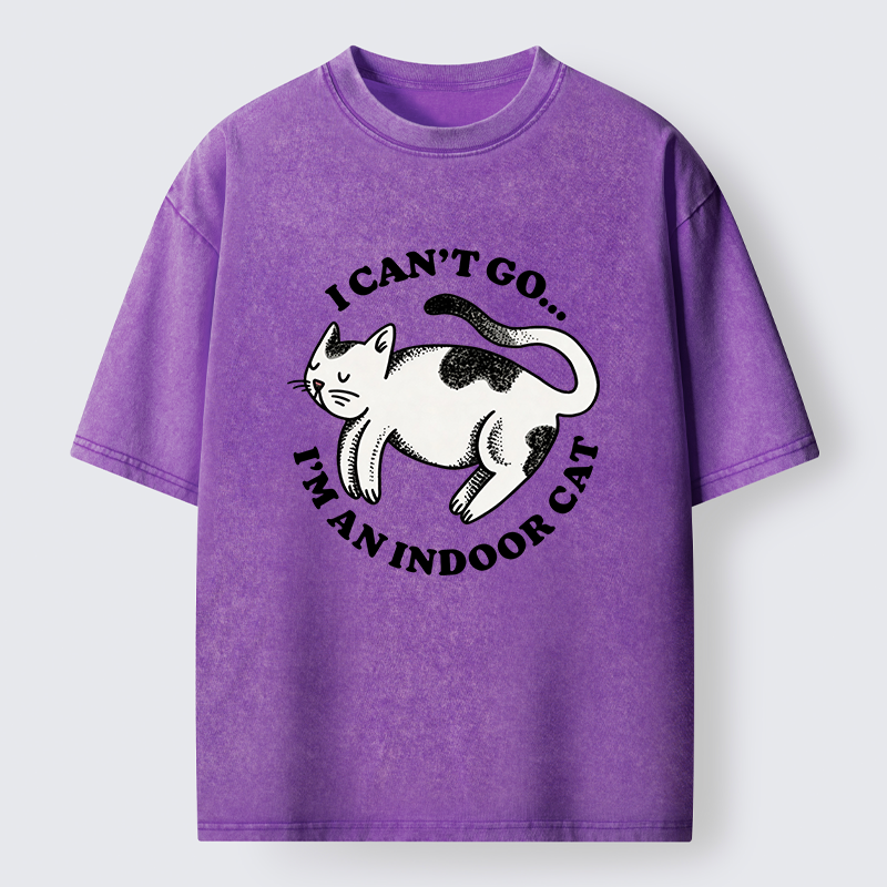 Tokyo-Tiger Indoor Cat Funny Washed T-Shirt