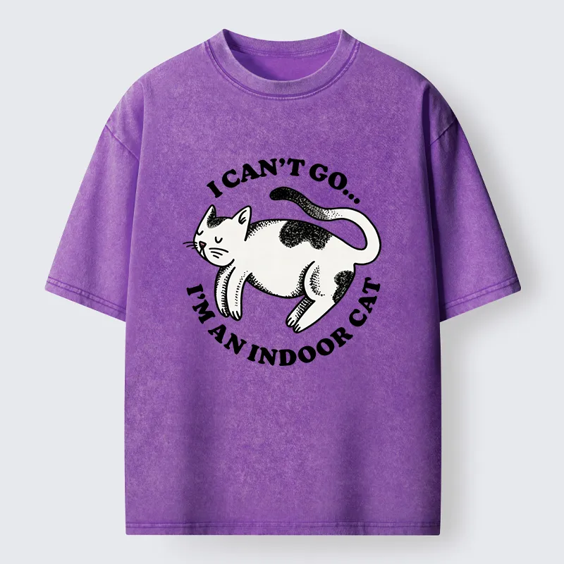 Tokyo-Tiger Indoor Cat Funny Washed T-Shirt