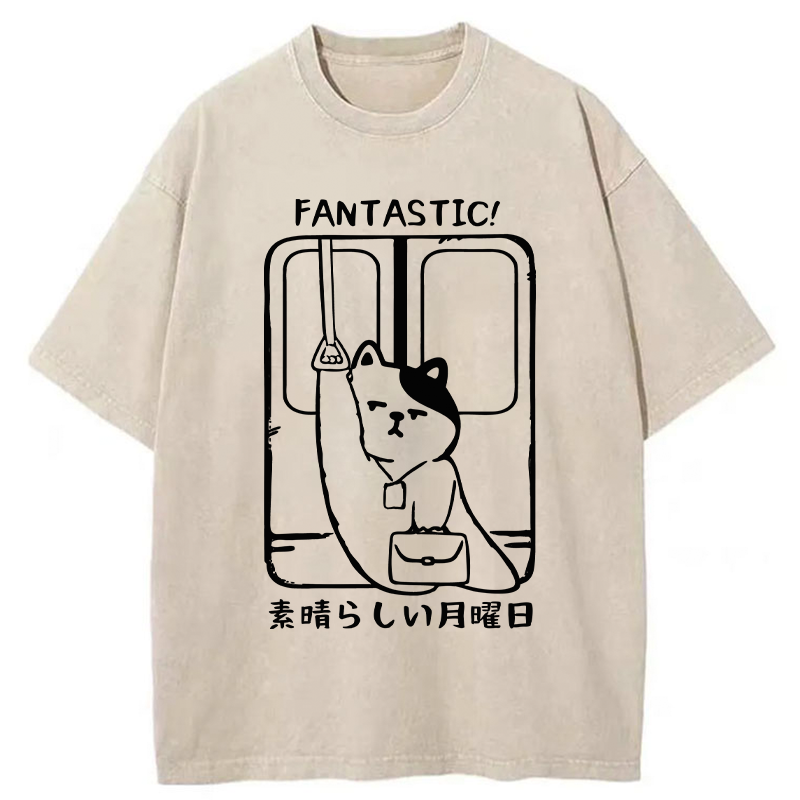 Tokyo-Tiger Great Monday Washed T-Shirt