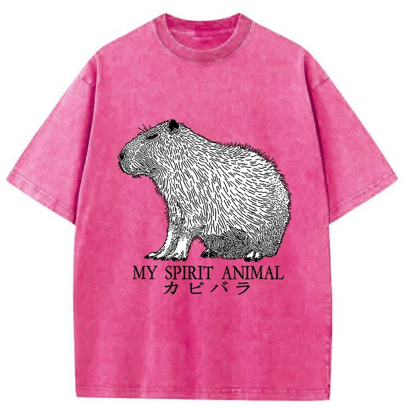 Tokyo-Tiger Capybara Spirit Washed T-Shirt