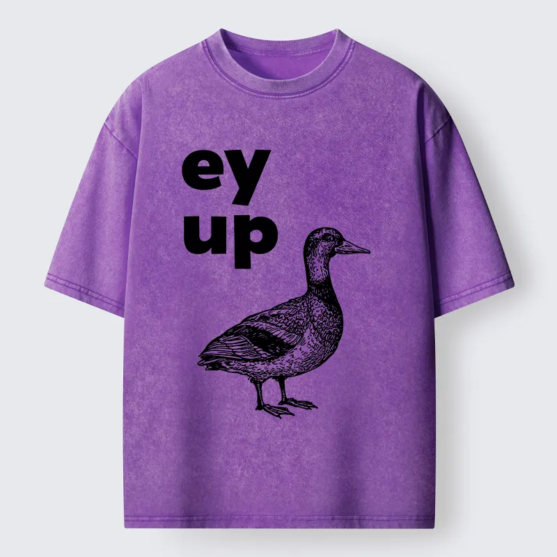 Tokyo-Tiger How Are You Dear Washed T-Shirt