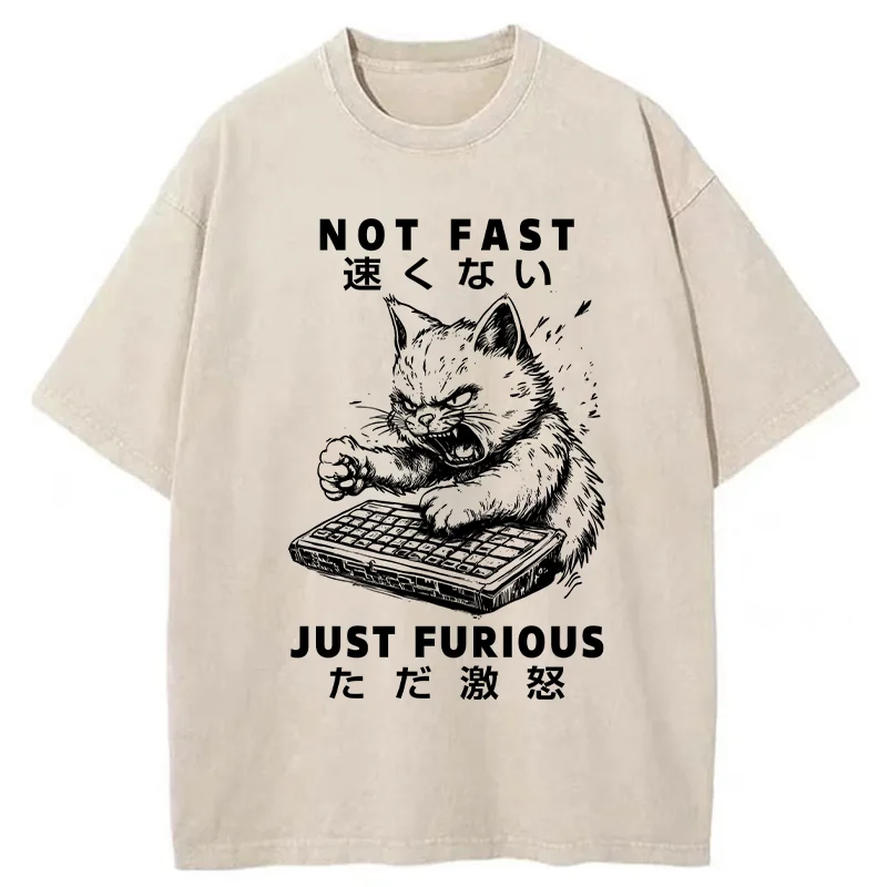 Tokyo-Tiger Not Fast Just Furious Washed T-Shirt