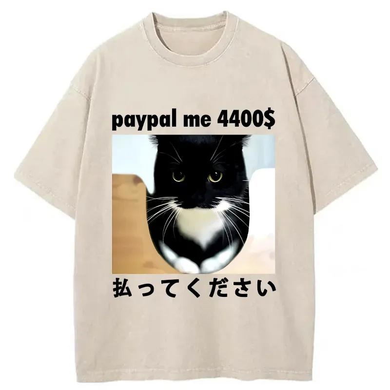 Tokyo-Tiger Please Give The Cat Money Washed T-Shirt