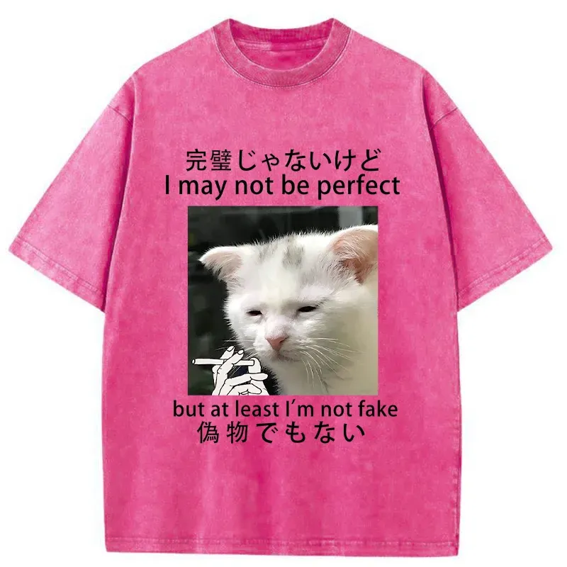 Tokyo-Tiger Cat Lamenting Life Washed T-Shirt