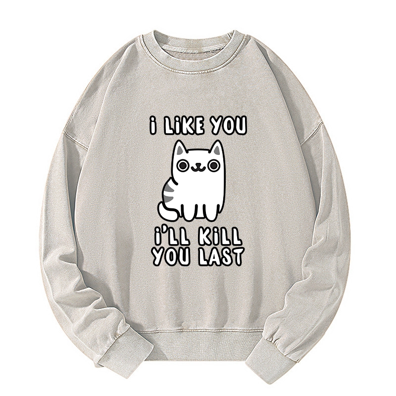 Tokyo-Tiger Cats And Humans Have A Love-hate Relationship Washed Sweatshirt