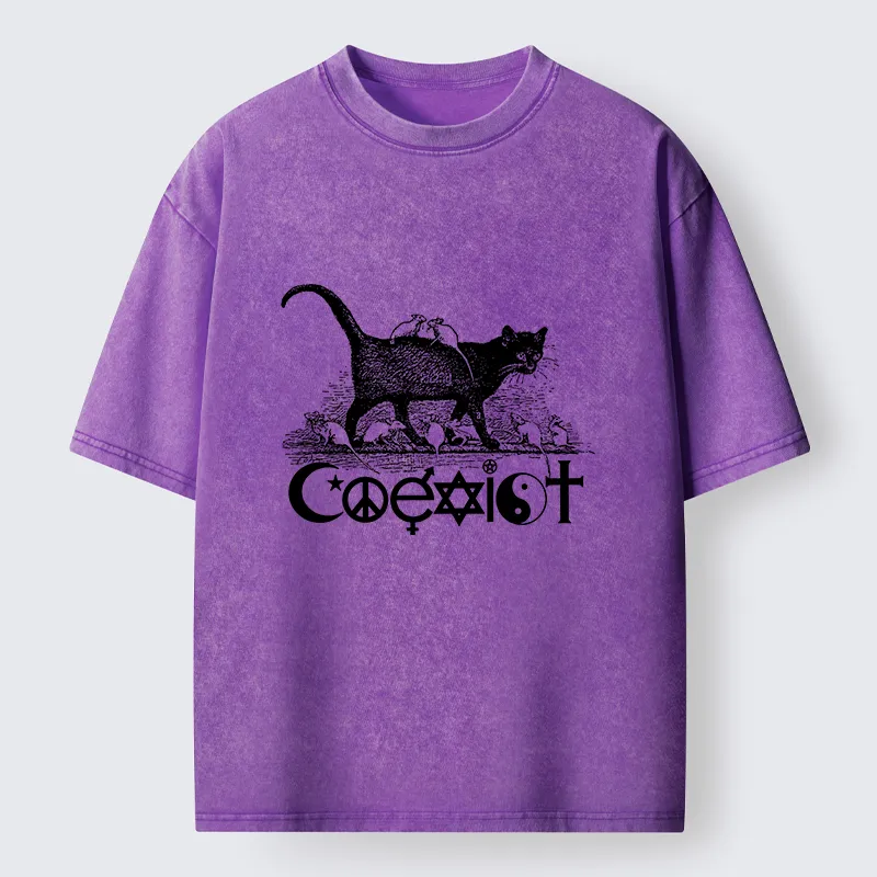 Tokyo-Tiger Coexist Funny Washed T-Shirt