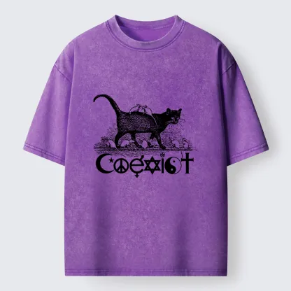 Tokyo-Tiger Coexist Funny Washed T-Shirt