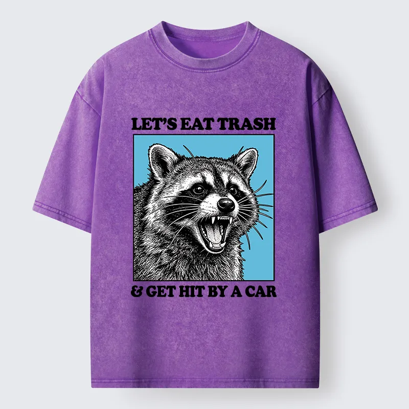 Tokyo-Tiger Raccoon Rebellion Washed T-Shirt