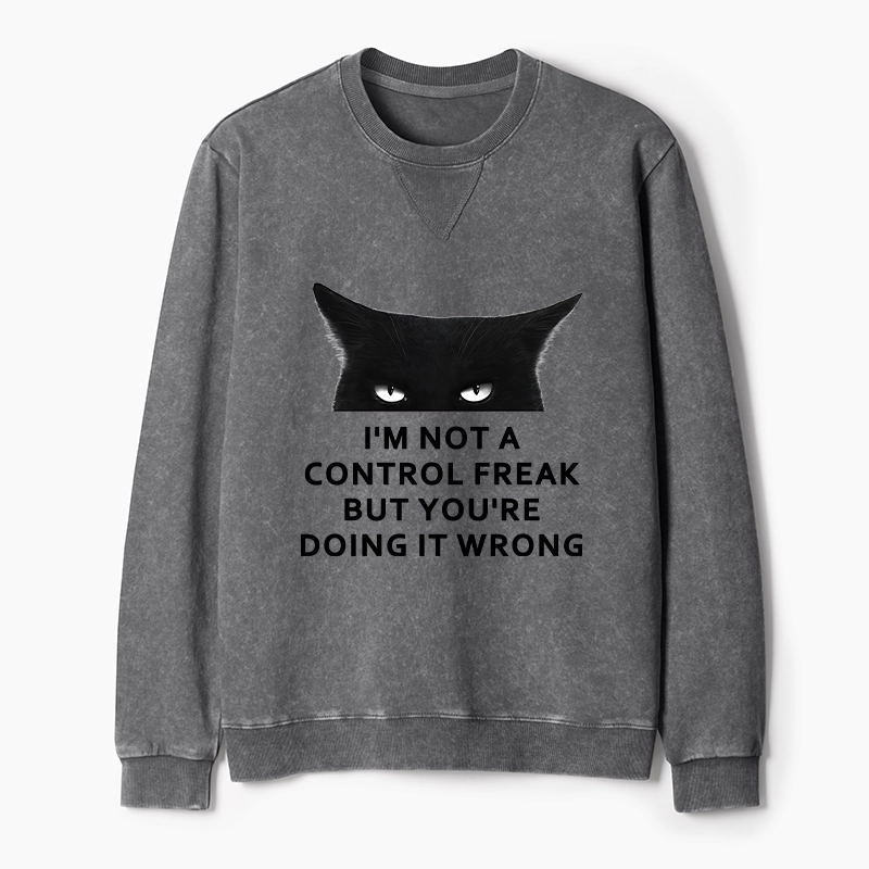 Tokyo-Tiger Control Freak Funny Washed Terry Sweatshirt