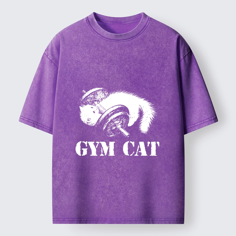 Tokyo-Tiger Cat Pumping Iron At The Gym Washed T-Shirt