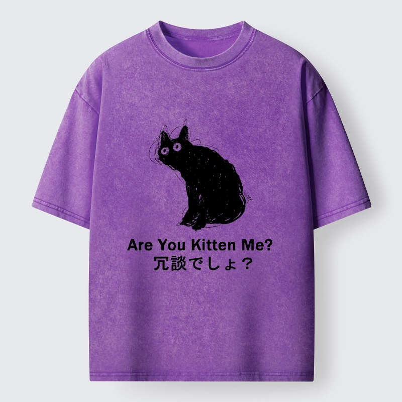 Tokyo-Tiger Are You Kitten Me Pun Art Washed T-Shirt