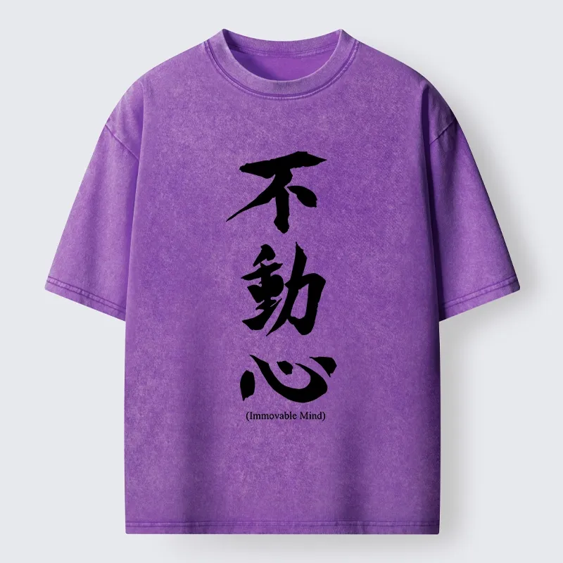 Tokyo-Tiger Fudoshin Art Of Calm Mind Washed T-Shirt