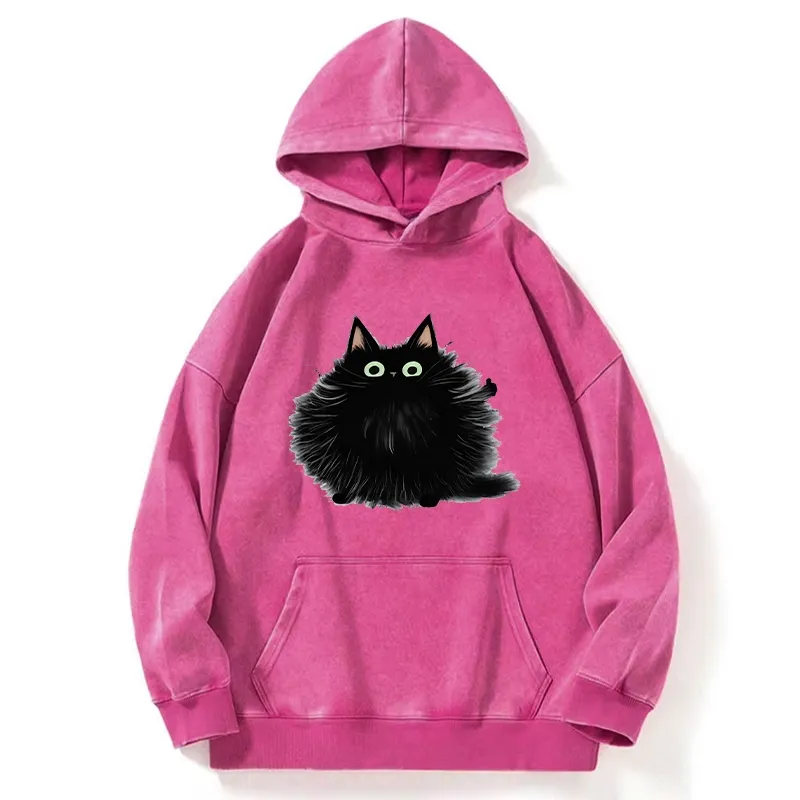Tokyo-Tiger Cat's Approval Washed Hoodie