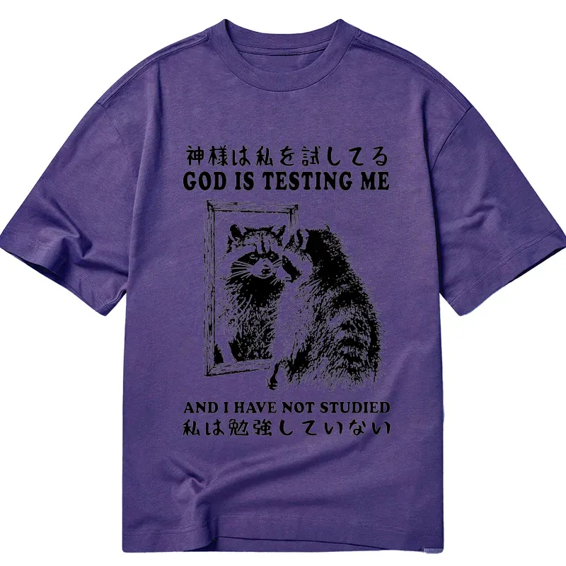Tokyo-Tiger Raccoon Not Studied Classic T-Shirt