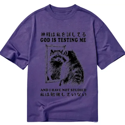 Tokyo-Tiger Raccoon Not Studied Classic T-Shirt