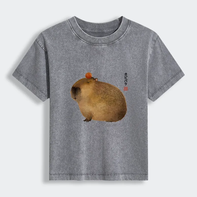 Tokyo-Tiger Calm Capybara Illustration Women's Washed T-shirt