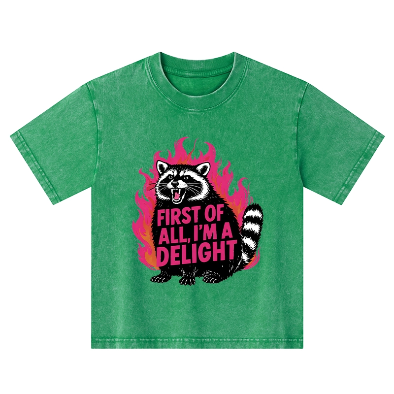 Tokyo-Tiger Angry Raccoon Funny Kids Washed T-Shirt