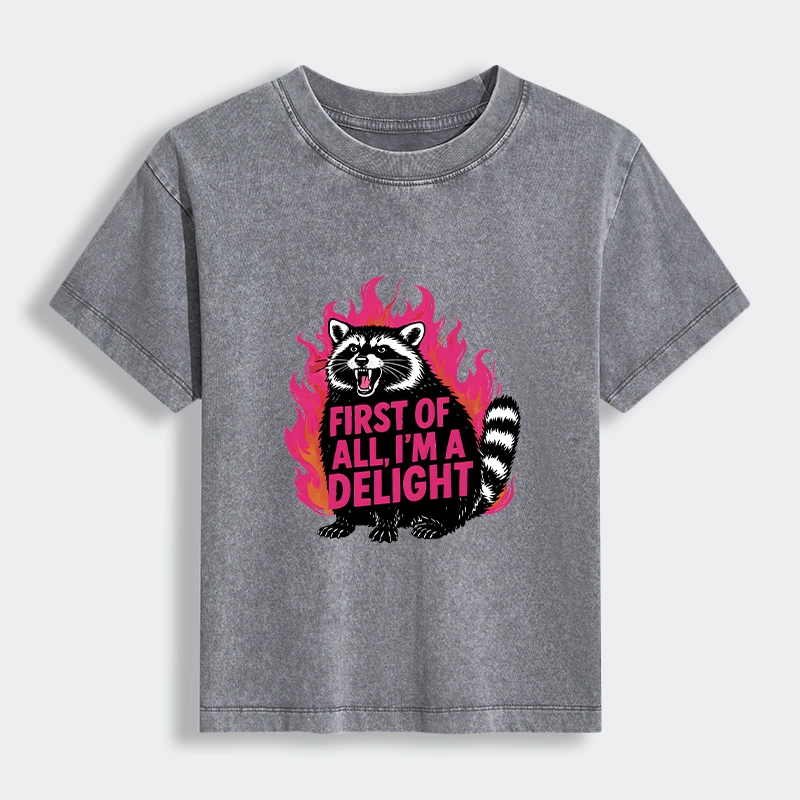 Tokyo-Tiger Angry Raccoon Funny Women's Washed T-shirt