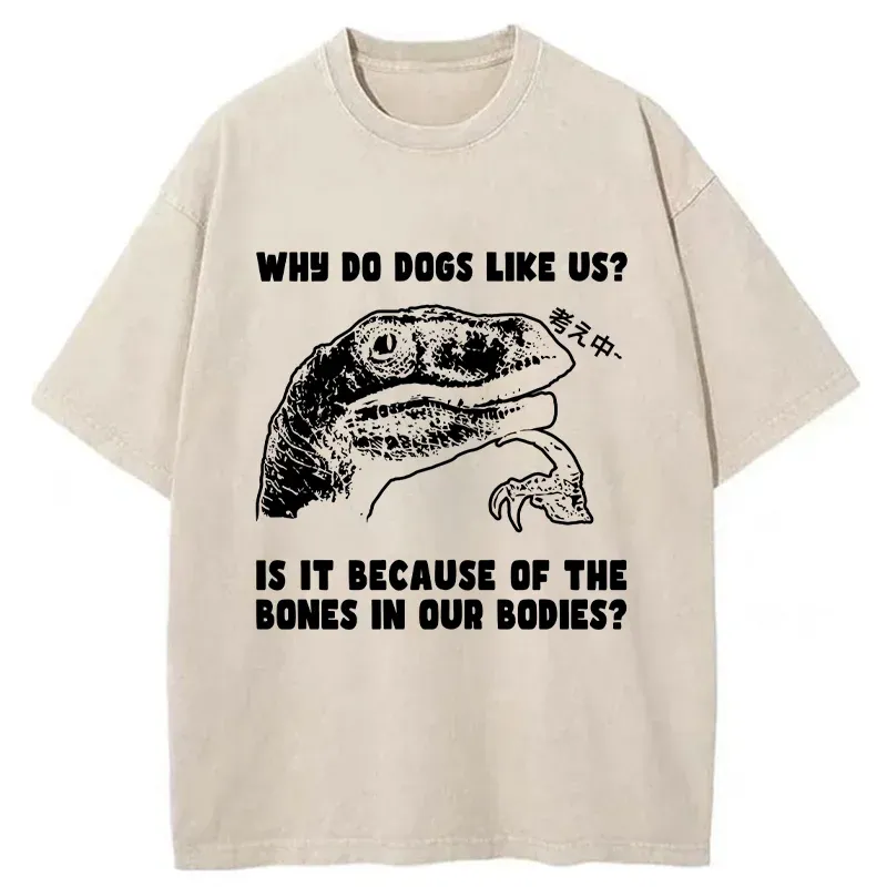 Tokyo-Tiger Thinking Philosoraptor Washed T-Shirt