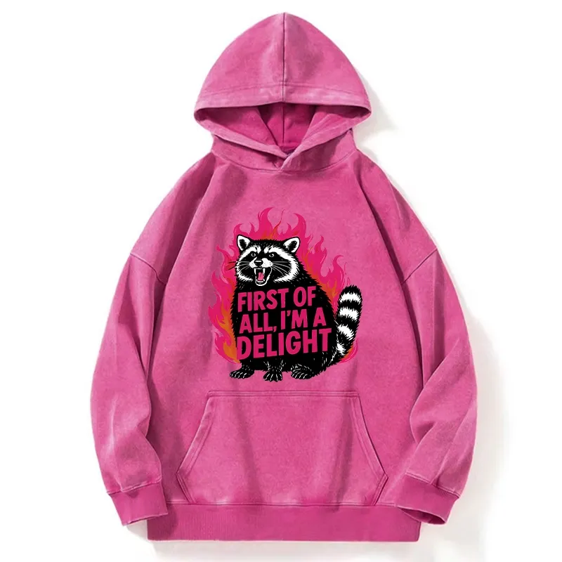 Tokyo-Tiger Angry Raccoon Funny Cat Washed Hoodie