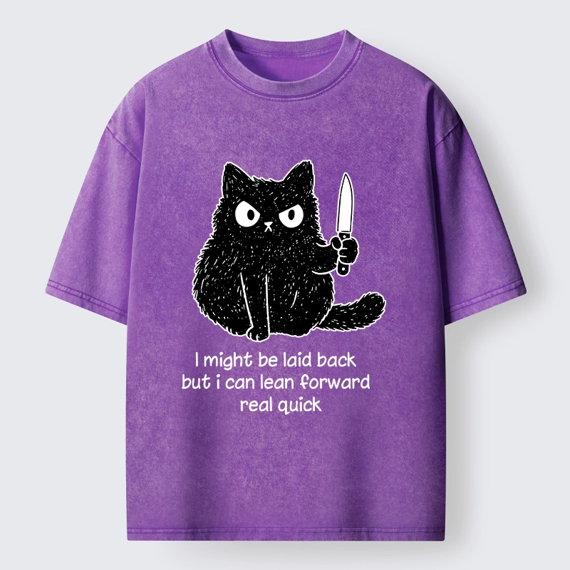 Tokyo-Tiger Dont Mess With This Cat Washed T-Shirt