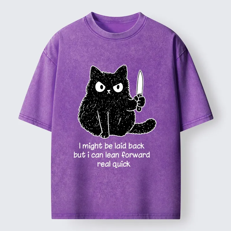 Tokyo-Tiger Dont Mess With This Cat Washed T-Shirt