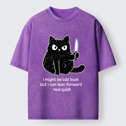 Tokyo-Tiger Dont Mess With This Cat Washed T-Shirt