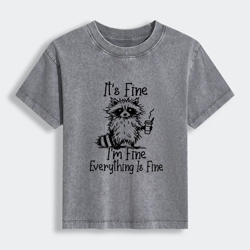 Tokyo-Tiger Raccoon Fine Meme Women's Washed T-shirt