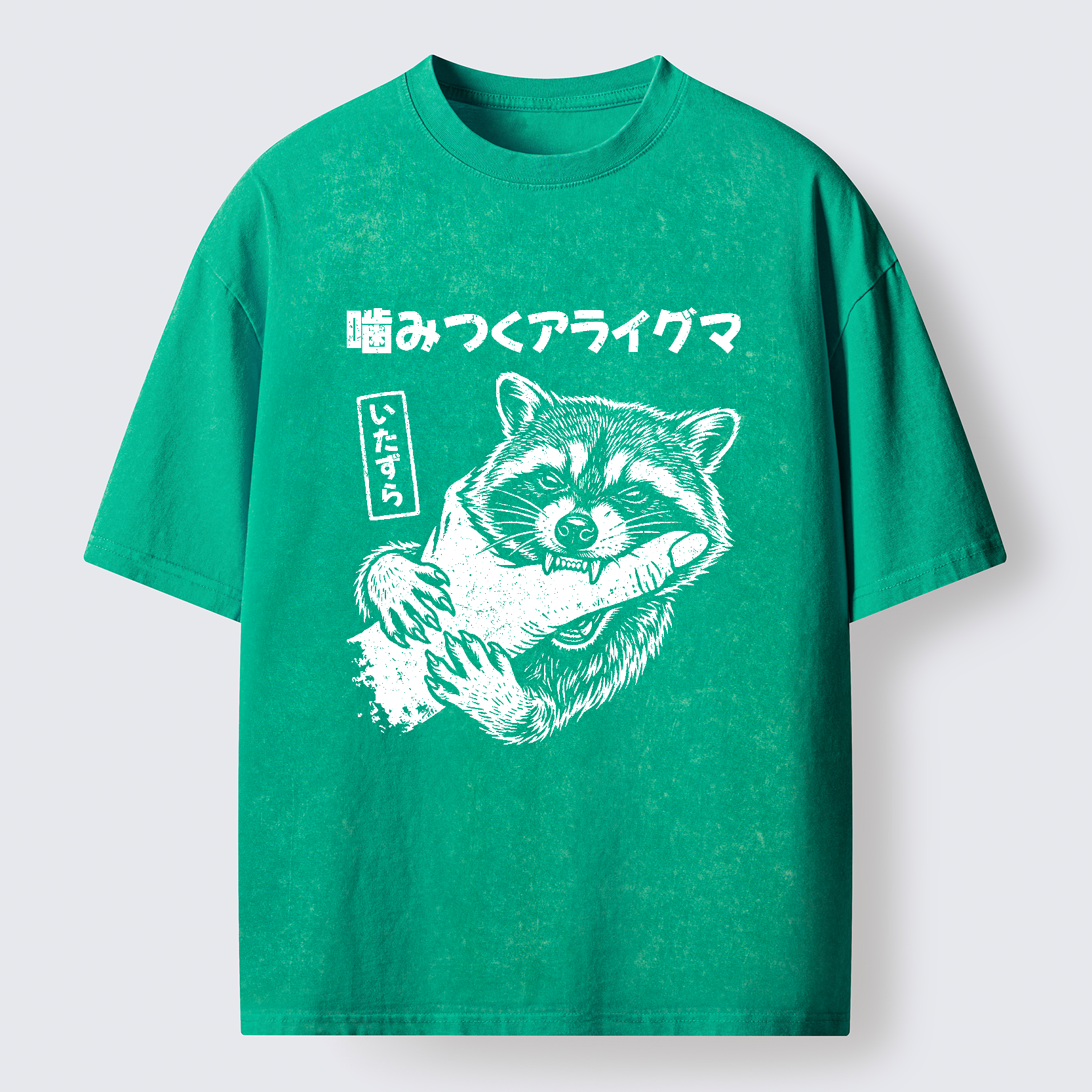 Tokyo-Tiger Naughty Raccoon Washed T-Shirt