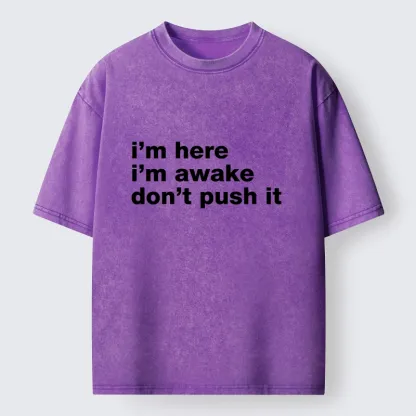 Tokyo-Tiger Awake But Not Ready Vibe Washed T-Shirt