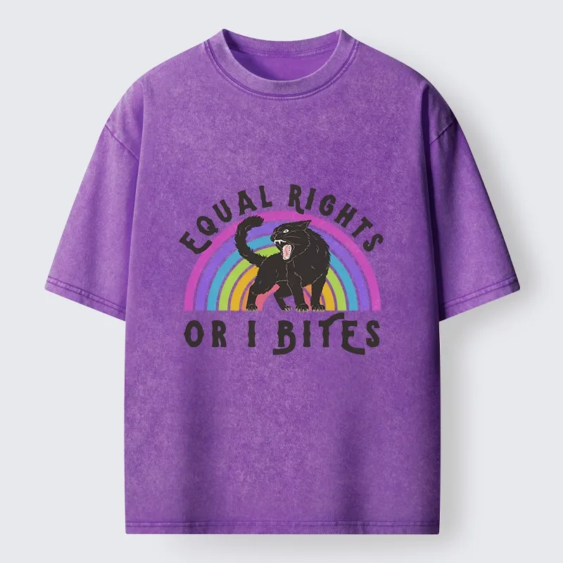 Tokyo-Tiger Rainbow Panther Equal Rights Washed T-Shirt