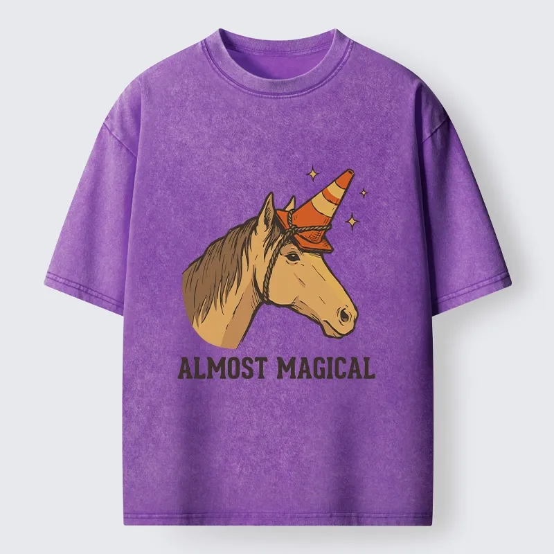 Tokyo-Tiger Silly Horse Trying To Be Magical Washed T-Shirt