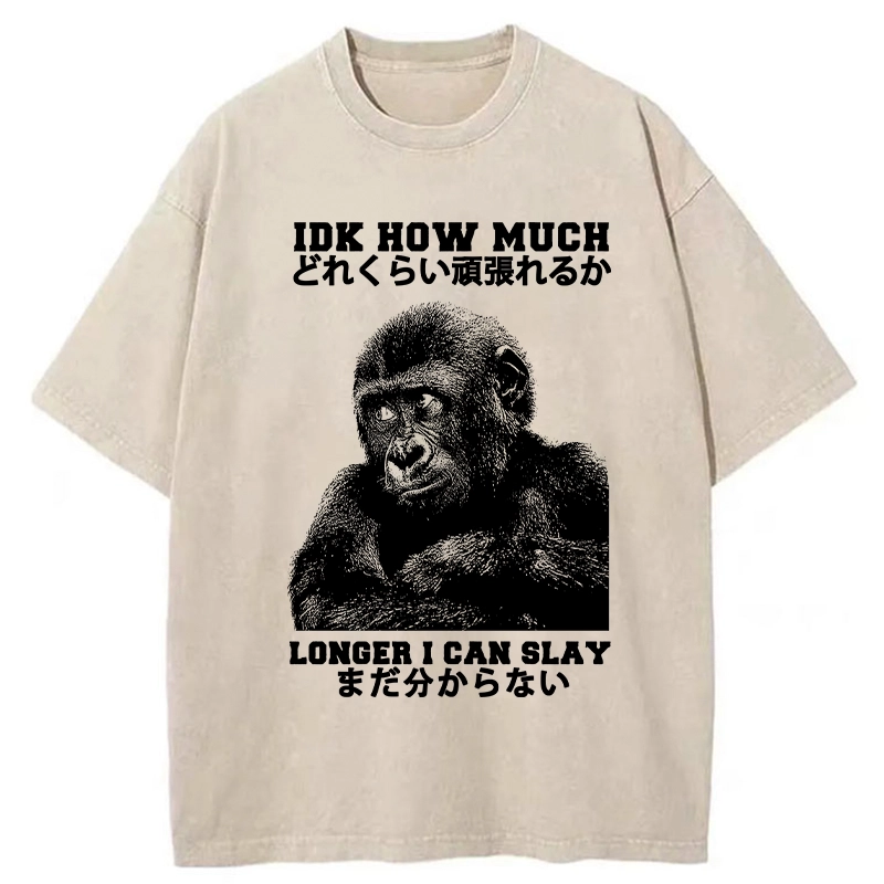 Tokyo-Tiger I Don't Know How Long I Can Slay Washed T-Shirt