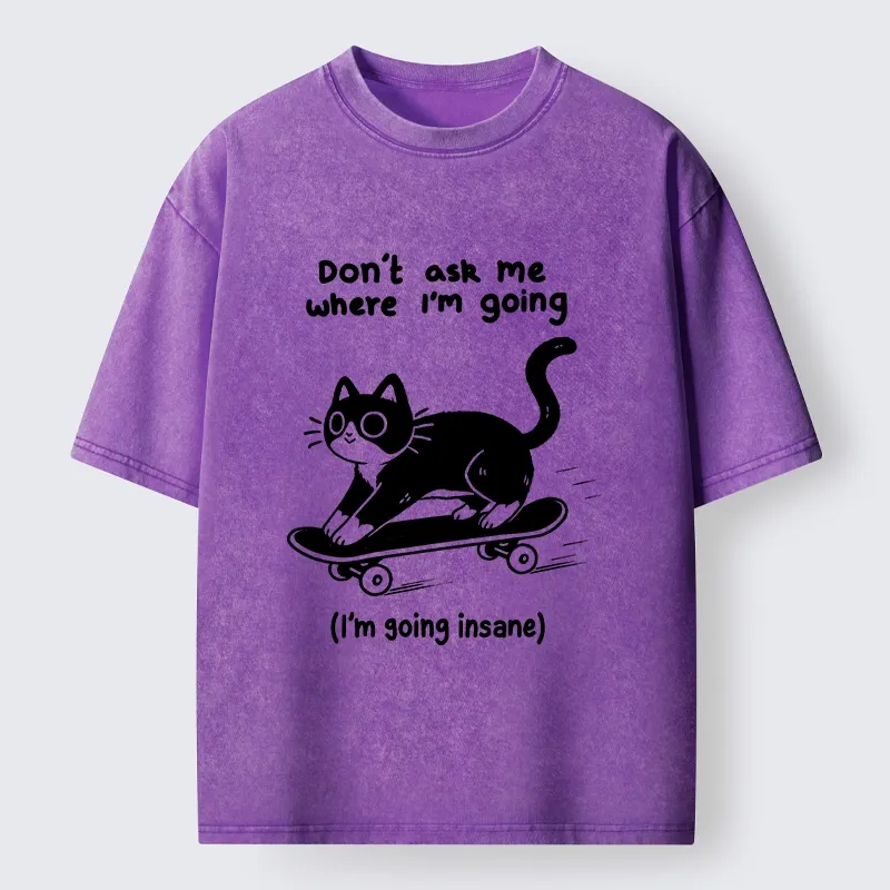 Tokyo-Tiger Black Cat Skating Away From Sanity Washed T-Shirt