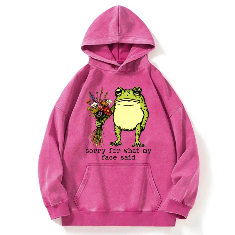 Tokyo-Tiger Frog Sorry Mode Activated Washed Hoodie