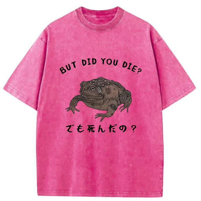 Tokyo-Tiger Question From Frog Funny Washed T-Shirt