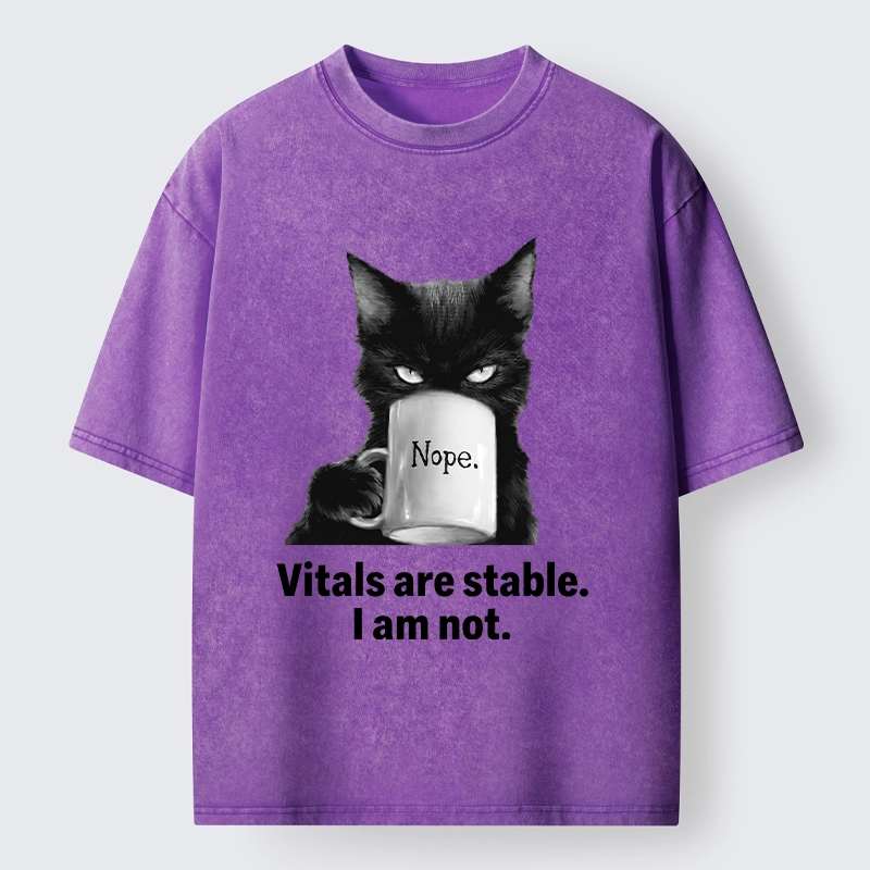Tokyo-Tiger Grumpy Black Cat Coffee Meme Washed T-Shirt